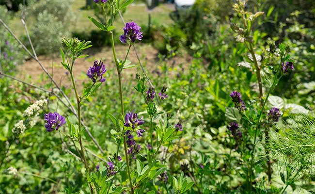 O que é retinol vegano? Tudo o que você precisa saber