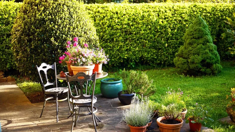 Truques simples para ter o jardim impecável em casa