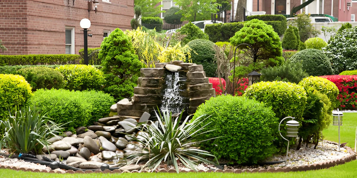 As 34 melhores plantas para jardim de pedras e ideias de design