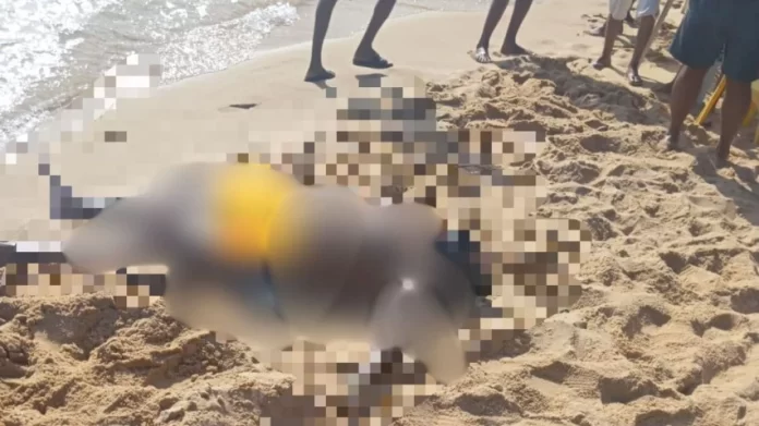 Corpo encontrado na Praia da Ribeira