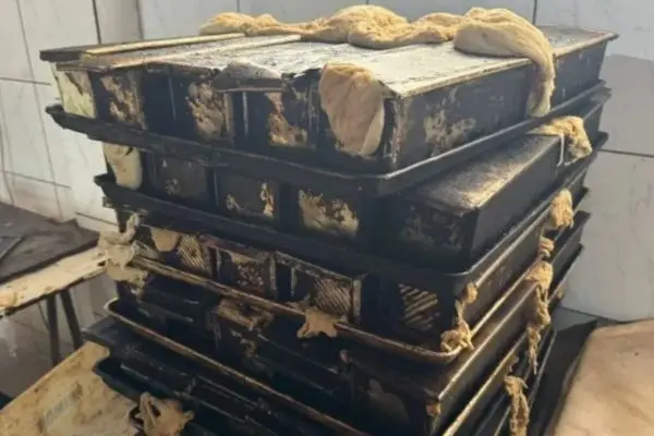 Uma padaria foi interditada em Vitória da Conquista, na região Sudoeste da Bahia, depois de a Vigilância Sanitária ter apreendido oito toneladas de produtos irregulares na segunda-feira (17). De acordo com o órgão, o estabelecimento funcionava sem alvará sanitário. Uma denúncia anônima motivou o flagrante no comércio, localizado na Rua dos Fonsecas. Entre os itens apreendidos estavam 4 mil pães, 600 kg de massa pronta, além de bolos e panetones produzidos em condições inadequadas. Segundo informações preliminares, o estado do local era considerado crítico, com dezenas de formas sujas e ambiente impróprio para manipulação de alimentos. O estabelecimento foi fechado e só poderá reabrir após cumprir uma série de exigências e adequações definidas pelo órgão municipal. A Vigilância informou ainda que, em um ano de fiscalizações, já foram apreendidas 17 toneladas de produtos irregulares no setor de panificação na cidade. As principais irregularidades incluem armazenamento inadequado, ausência de procedência e condições impróprias para consumo.